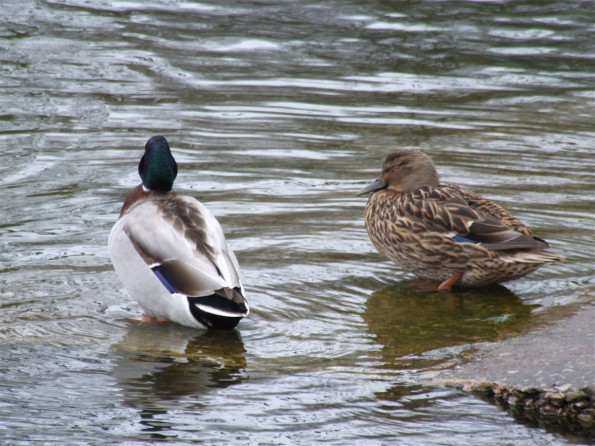 February-2010_0228(017)