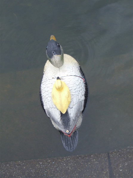 February-2010_0228(029)